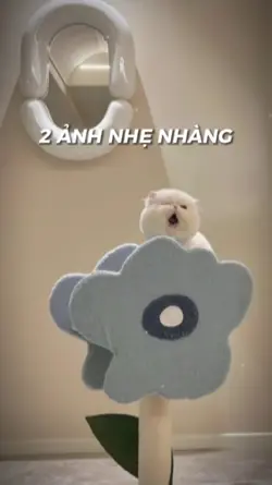 2 ẢNH NHẸ NHÀNG