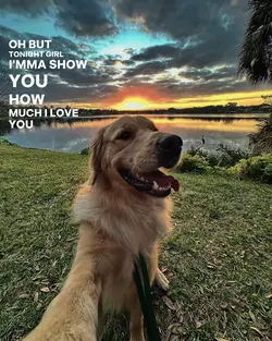 Lyrics