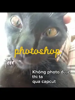 Photoshop