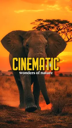 wonders of nature