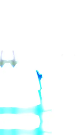 [LE] 나는 sven