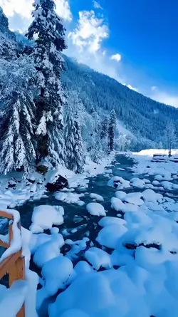 snow fall 