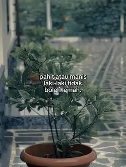 bahan swmu