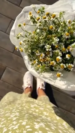 spring vlog