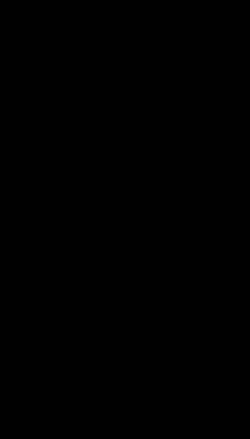 veylo