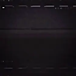 Fnaf.