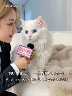 飼い主に一言