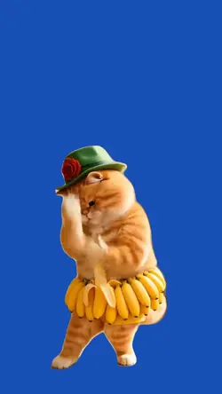 Cat/Gato