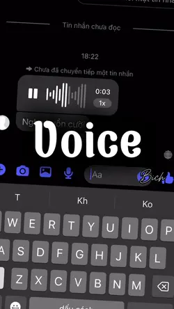 [2] Voice 