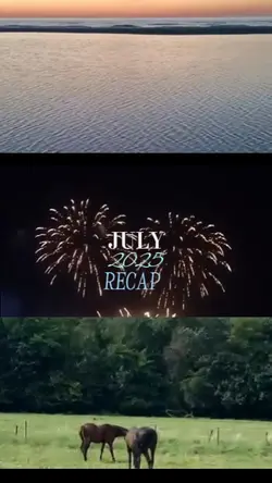 July recap 