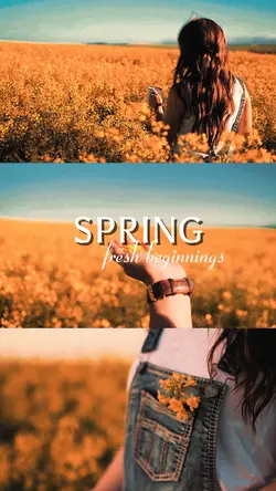 spring break 