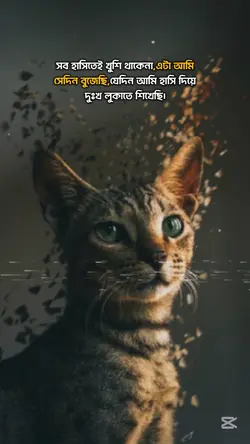 ক্যাপশন ভিডিও SAD 
