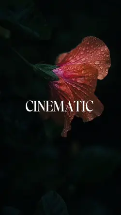 CINEMATIC