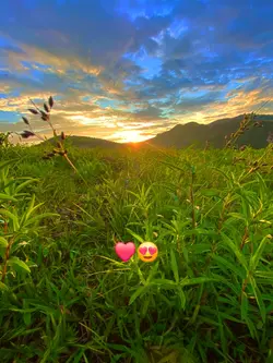 atardecer 