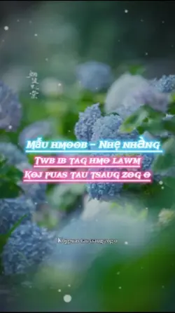Twb ib tag hmo lawm