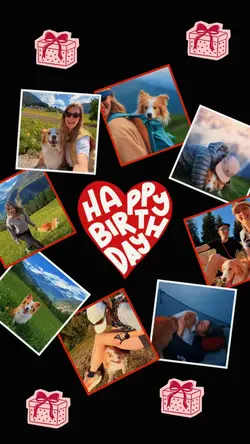 Birthday my dog