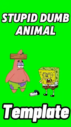 Stupid Dumb Animal 