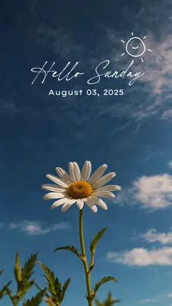 Hello Sunday 