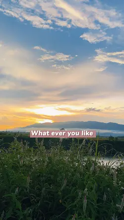 What ever you like