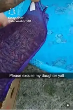 Die mf