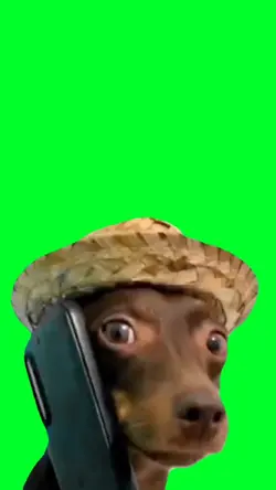 Dog calling