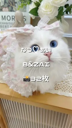 なつ♡あい / B&ZAI 📸32枚