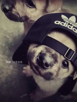 MẪU LYRICS STORY MÀU