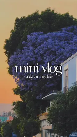 minivlog 9 clips