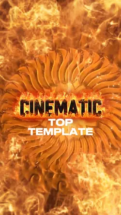 Fenix Top Template 