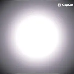 solucan