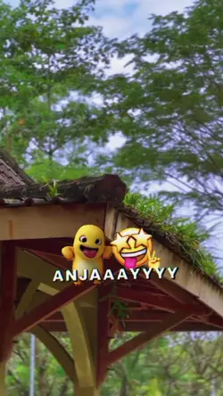 wih anjay 