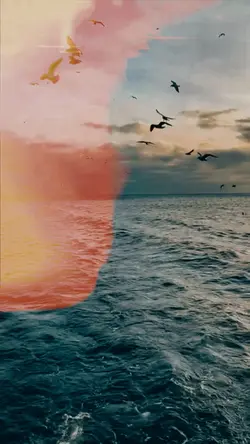 transisi aesthetic