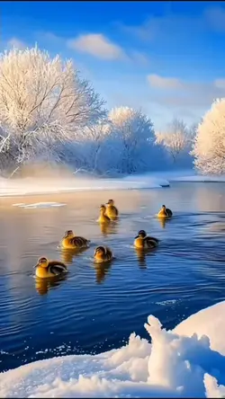 Winter beauty 