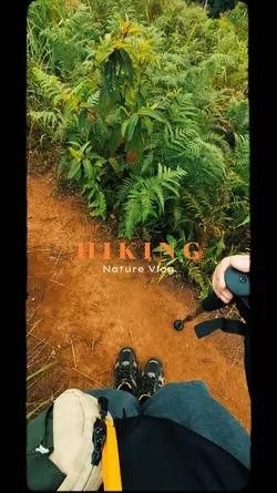 Nature trip