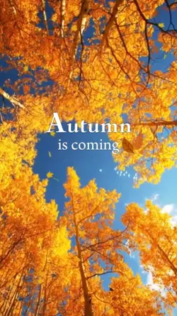 Autumn is coming