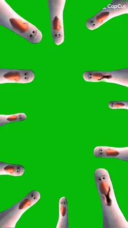 “Mine” Seagulls 🗣️