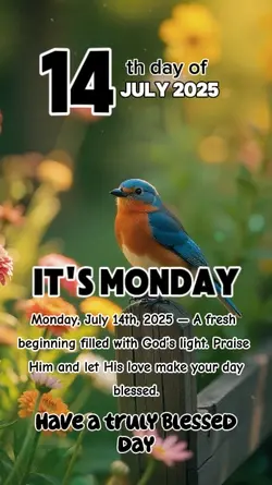 it's Monday