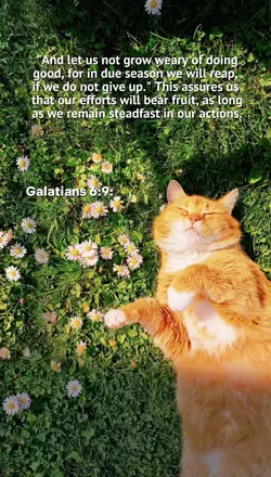 Gelatians 6:9