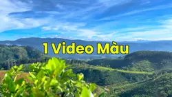 1 video màu