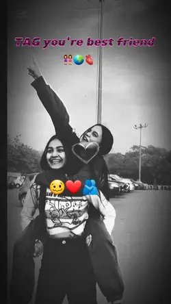Newtrend habesha Lyr