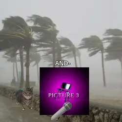 New Trending- EditZ-