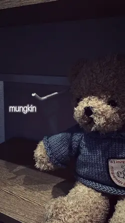 mungkin aku sedang