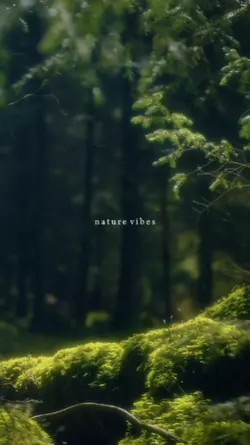 NATURE VIBES