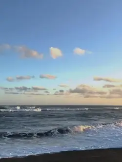 3 video 