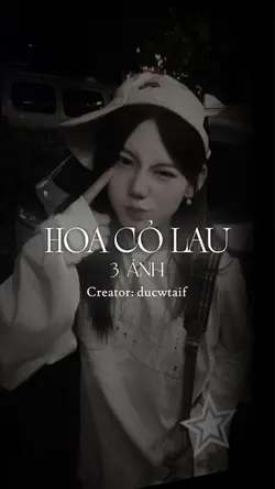 Hoa Cỏ Lau