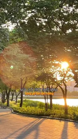 Ngẫm lại chuyện đời