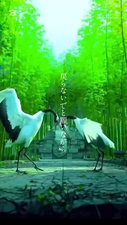 かぐや　月舟の曲
