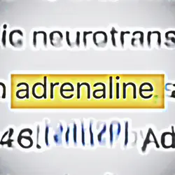 Adrenaline 