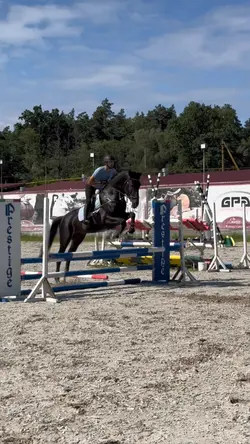 HORSE ⚠️FAKE⚠️