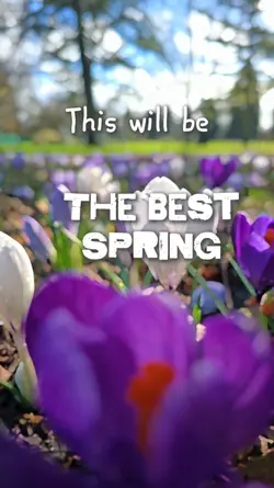 Hello Spring 